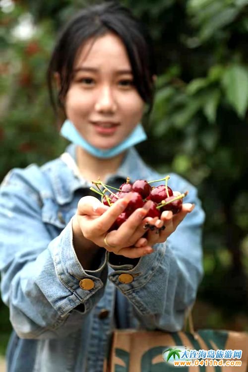 2021���B����Ҳ�ժ