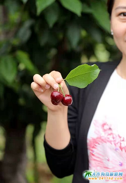 2021���B����Ҳ�ժ