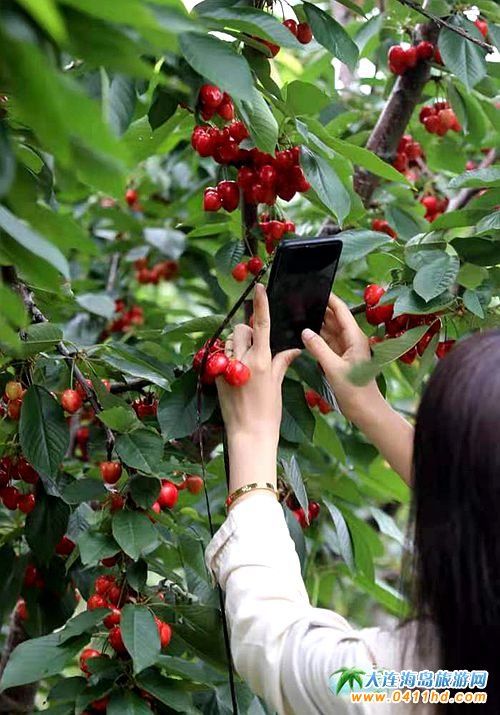 2021���B����Ҳ�ժ