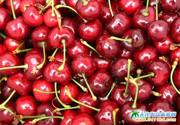 2021���B����Ҳ�ժ