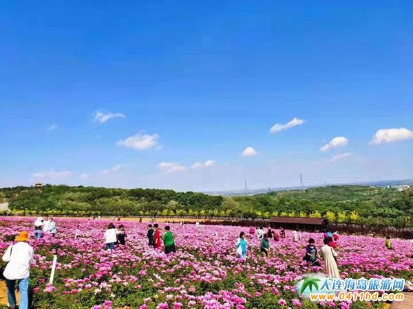 2021���繝(ji��)����