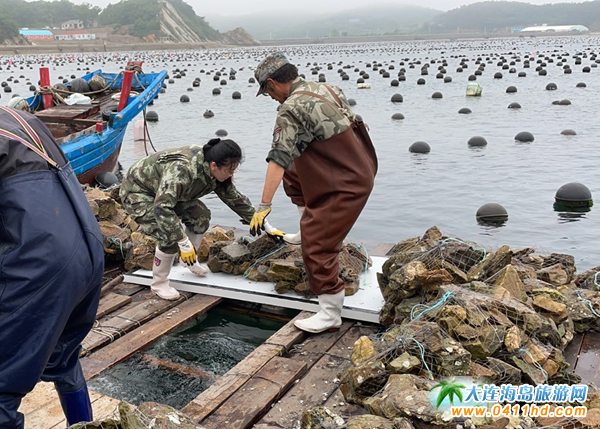 �x�{(di��o)�������÷