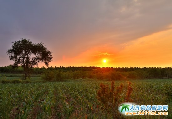 2021,��֮퍶ȼٴ�gӭ����ʯ��