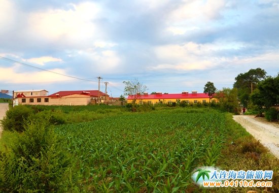 ���u�O�Ҙ�:��֮퍶ȼٴ�