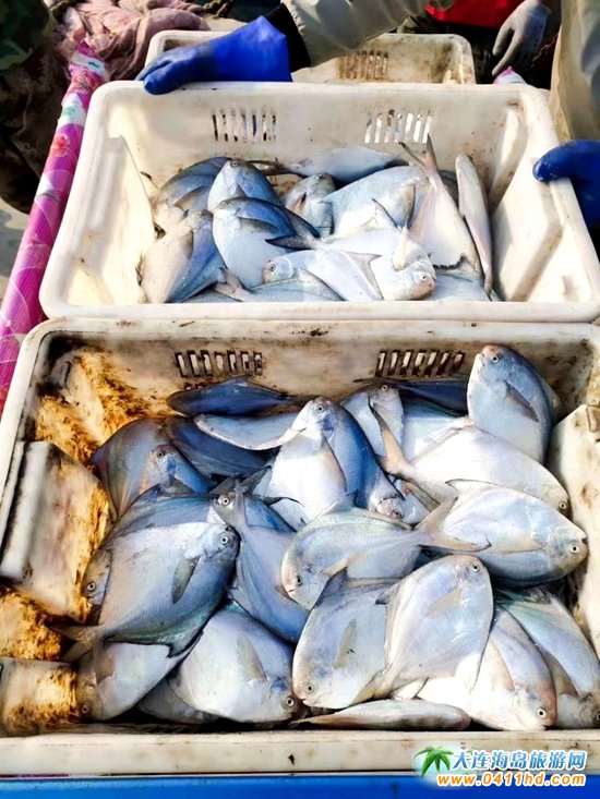 ɽ�|���_�L�uÿ��ĺ��r��(ji��)����������ʳ�����＾