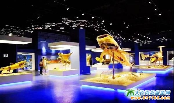 ���B��ʯ������Ϟ���^