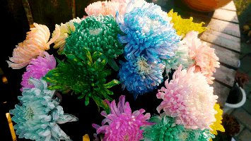 ʮһ����,���B���c��(ji��)����