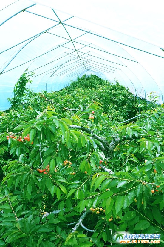 2022���B����Ҳ�ժֱ��������6��14����ʽ����(d��ng)