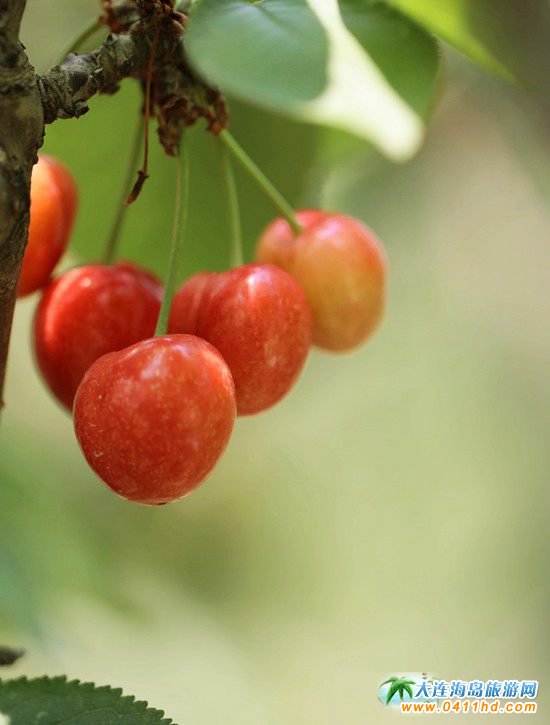 2022���B����Ҳ�ժֱ��������6��14����ʽ����(d��ng)