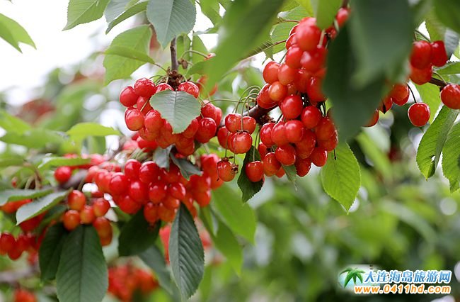 2022���B����Ҳ�ժֱ��������6��14����ʽ����(d��ng)