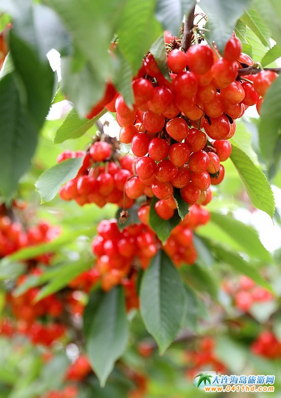 2022���B����Ҳ�ժֱ��������6��14����ʽ����(d��ng)