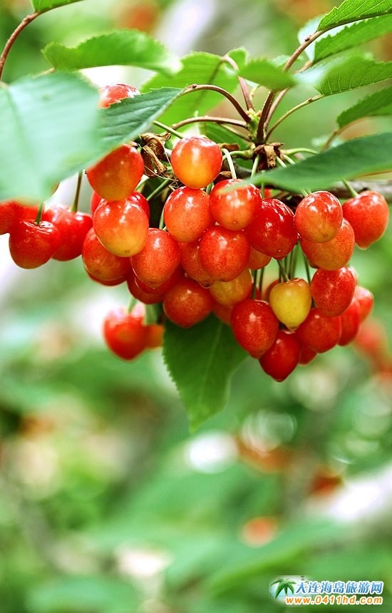 2022���B����Ҳ�ժֱ��������6��14����ʽ����(d��ng)