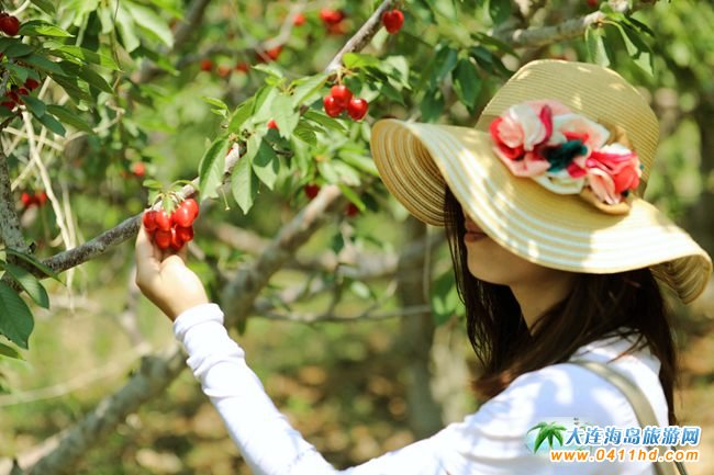 2022���B����Ҳ�ժֱ��������6��14����ʽ����(d��ng)