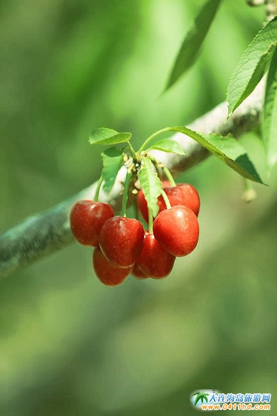 2022���B����Ҳ�ժֱ��������6��14����ʽ����(d��ng)