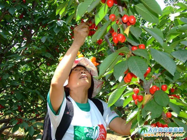 2022���B����Ҳ�ժֱ��������6��14����ʽ����(d��ng)