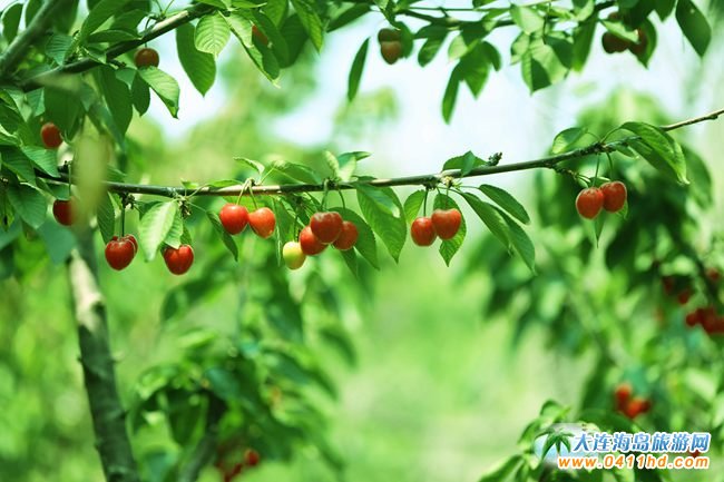 2022���B����Ҳ�ժֱ��������6��14����ʽ����(d��ng)