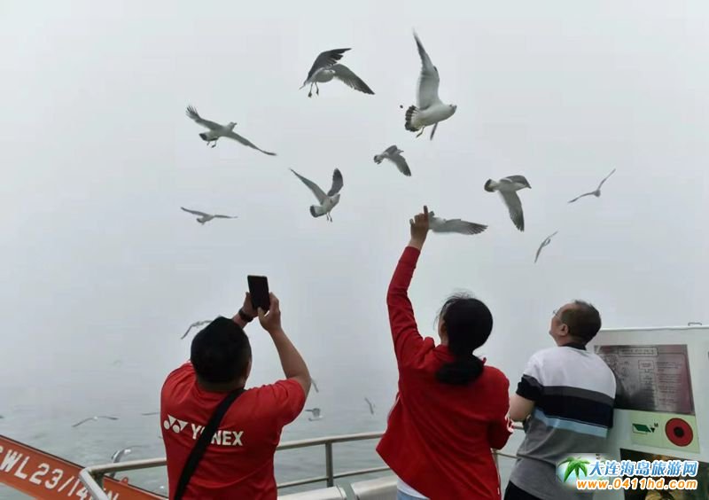 ���B�_(k��i)�������r(sh��)����݆�����ϼtɫ֮���h�����(d��ng)���H���ЌW(xu��)����I(y��ng)��