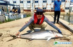 �����ˮ,��β���ٴ�����!��Ӎu���H���С�(zh��n)����̓��!