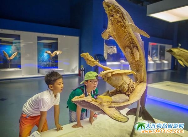 ���B���ξ��c