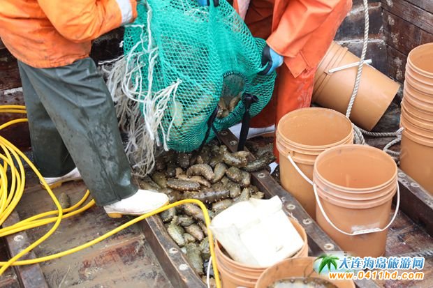 ���BΛρ�u��һ�Ì�Ұ֪���ɲ���