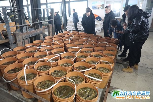 ���BΛρ�u��һ�Ì�Ұ֪���ɲ���