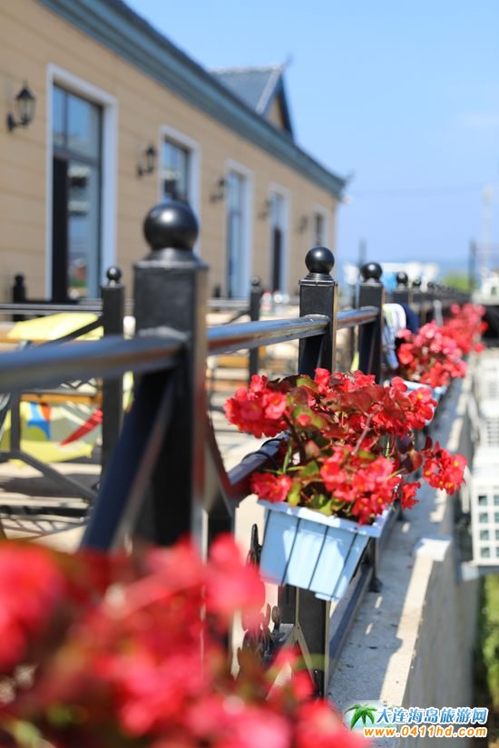 �L���h����