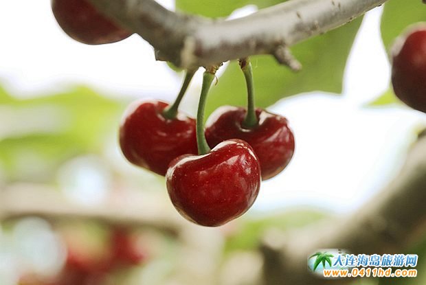 2023���B����Ҳ�ժֱ����