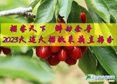 ���ѿ����£�������ա�2023���B����Ҳ�ժֱ����6��1