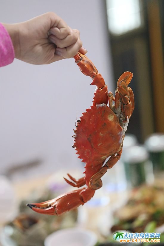 ���B���r�з