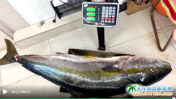 88.4�ﳬ���S�l������Ӎu�ܫ@