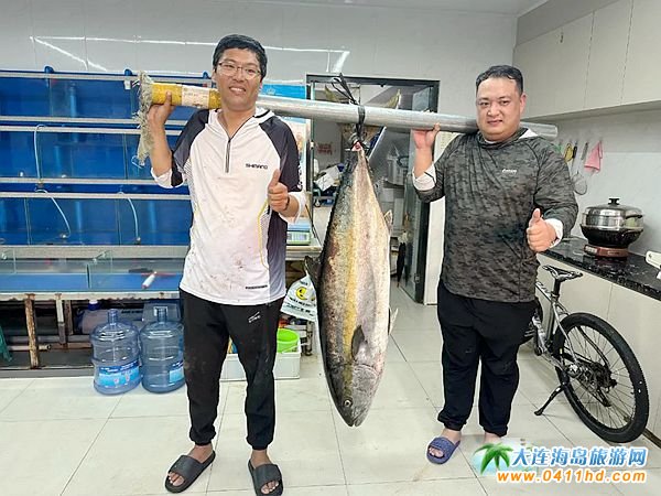 88.4�ﳬ���S�l������Ӎu�ܫ@