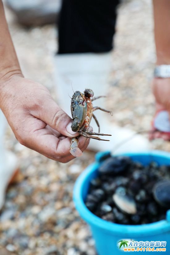 ʮһؔ��u�s��