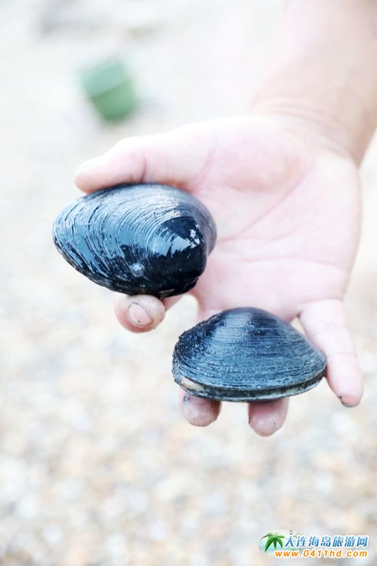 ʮһؔ��u�s��