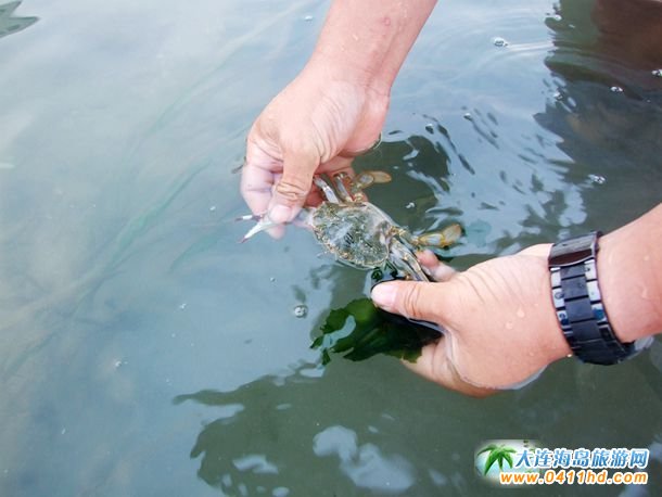 ʮһؔ��u�s��