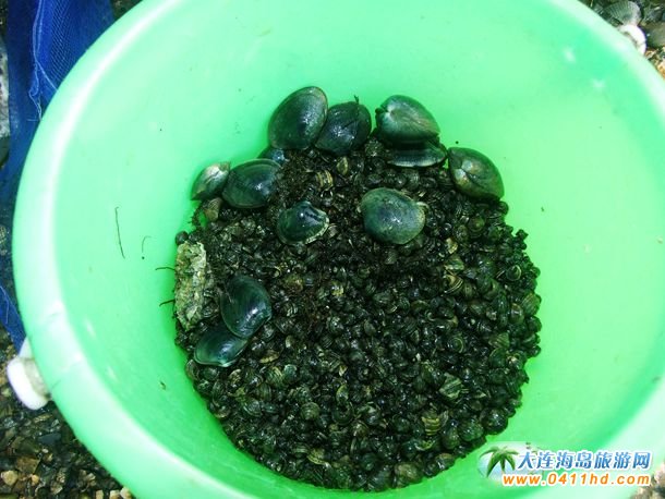 ʮһؔ��u�s��