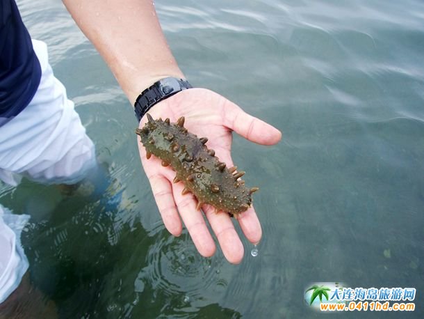 ʮһؔ��u�s��