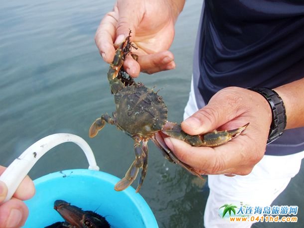 ʮһؔ��u�s��