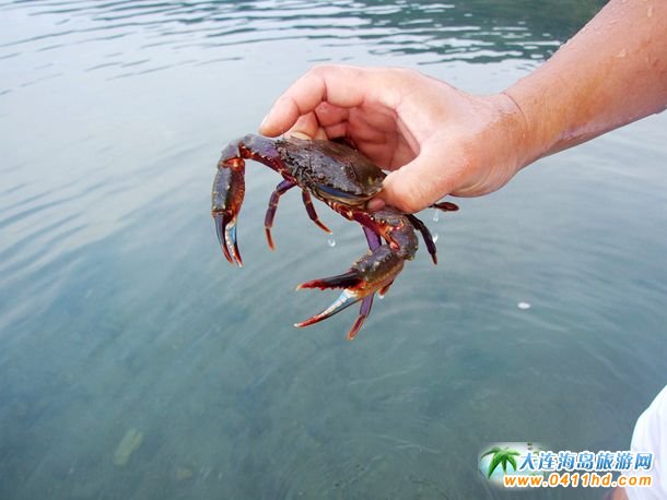 ʮһؔ��u�s��