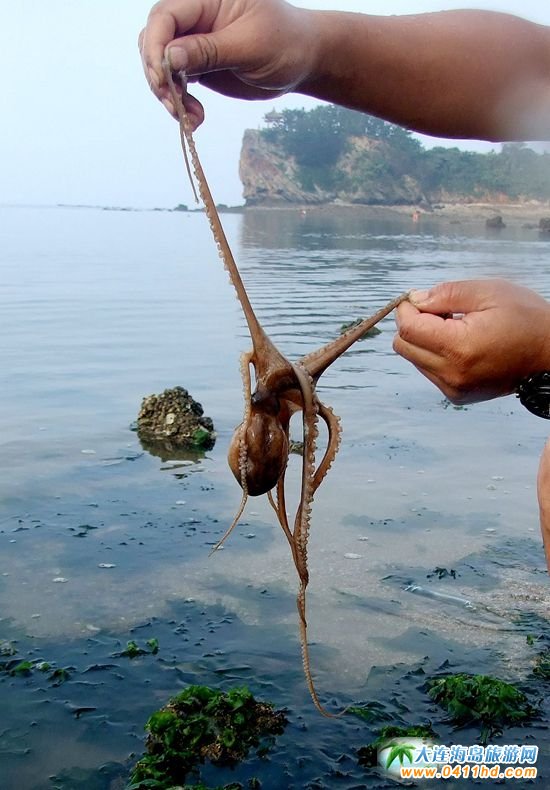 ʮһؔ��u�s��