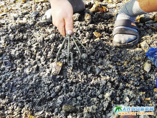 ʮһؔ��u�s��