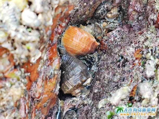 ʮһؔ��u�s��