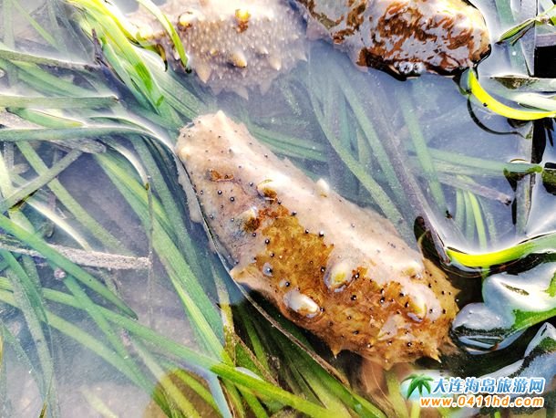 ���B���c��(ji��)����