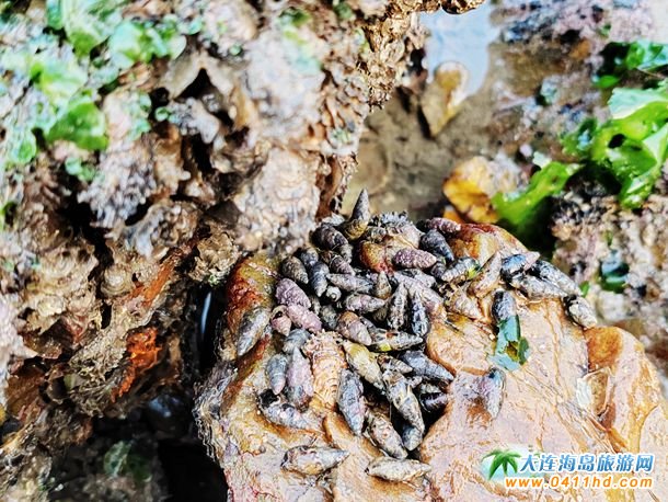 ���B���c��(ji��)����