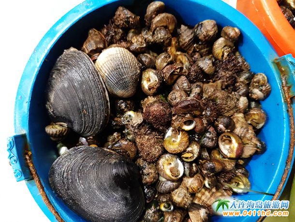 ���B���c��(ji��)����