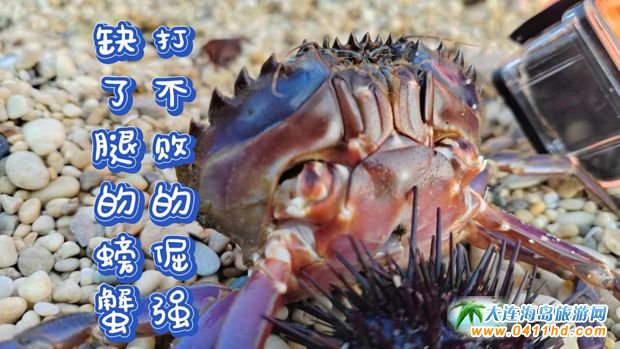 ���B�����˝�ˮץ�з