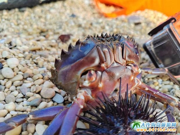 ���B�����˝�ˮץ�з