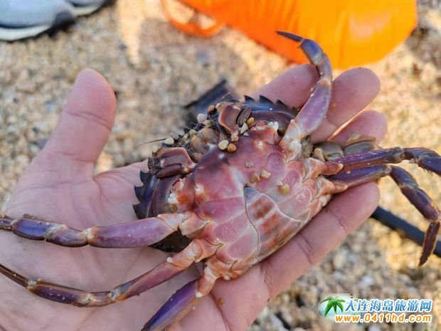 ���B�����˝�ˮץ�з