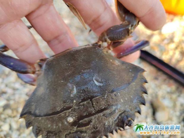 ���B�����˝�ˮץ�з