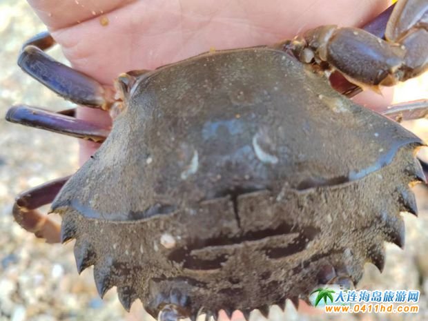 ���B�����˝�ˮץ�з