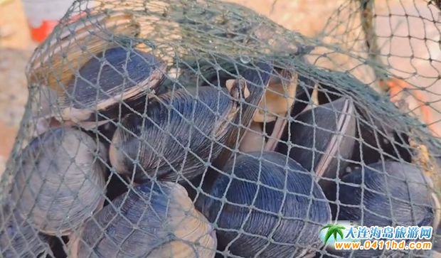 ���B���M�Ժ��r